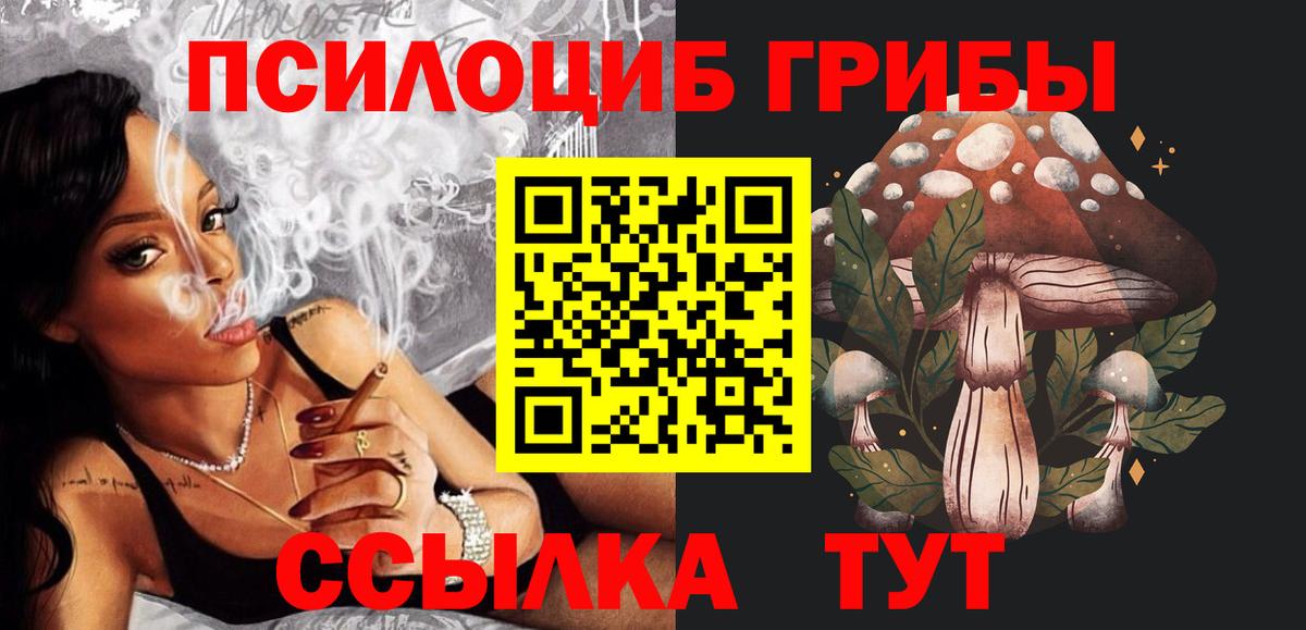 Ставрополь  Галлюциногенные грибы Psilocybine cubensis  Вход с VPN 